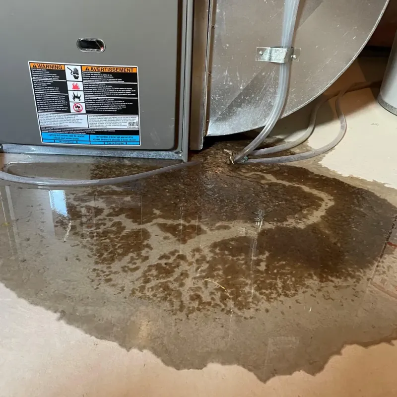 Appliance Leak Cleanup in Castle Dale, UT